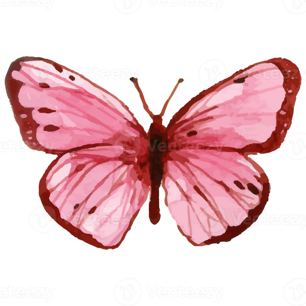 fetching butterfly